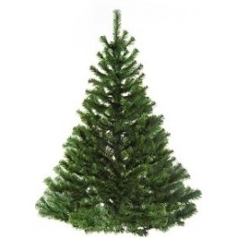 [Сезонный бизнес] Авторский кейс по продаже живых _0.jpg